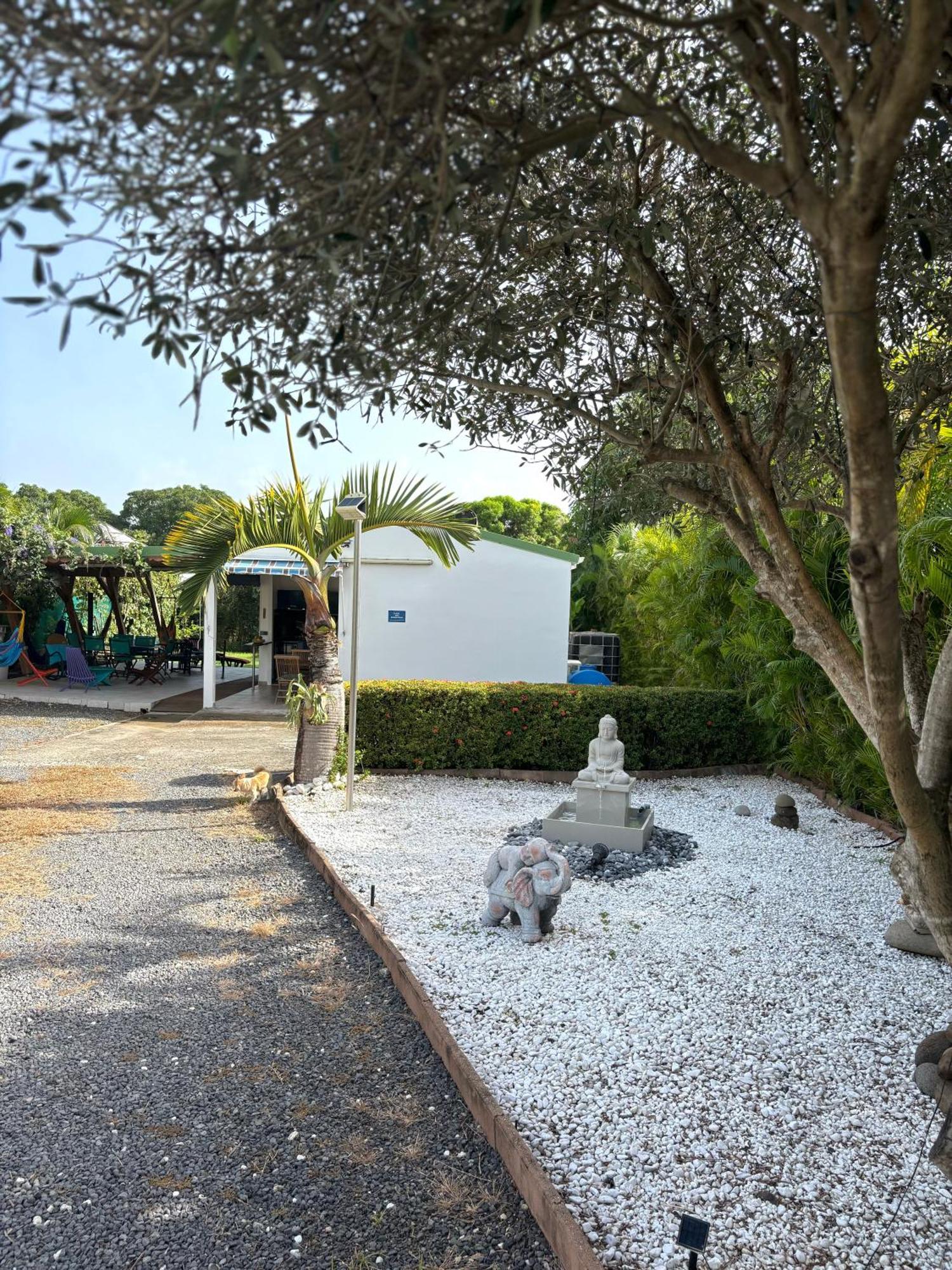 Gites Les Bienheureux - Piscine, Hamak, Terrasse Anse-Bertrand Kültér fotó